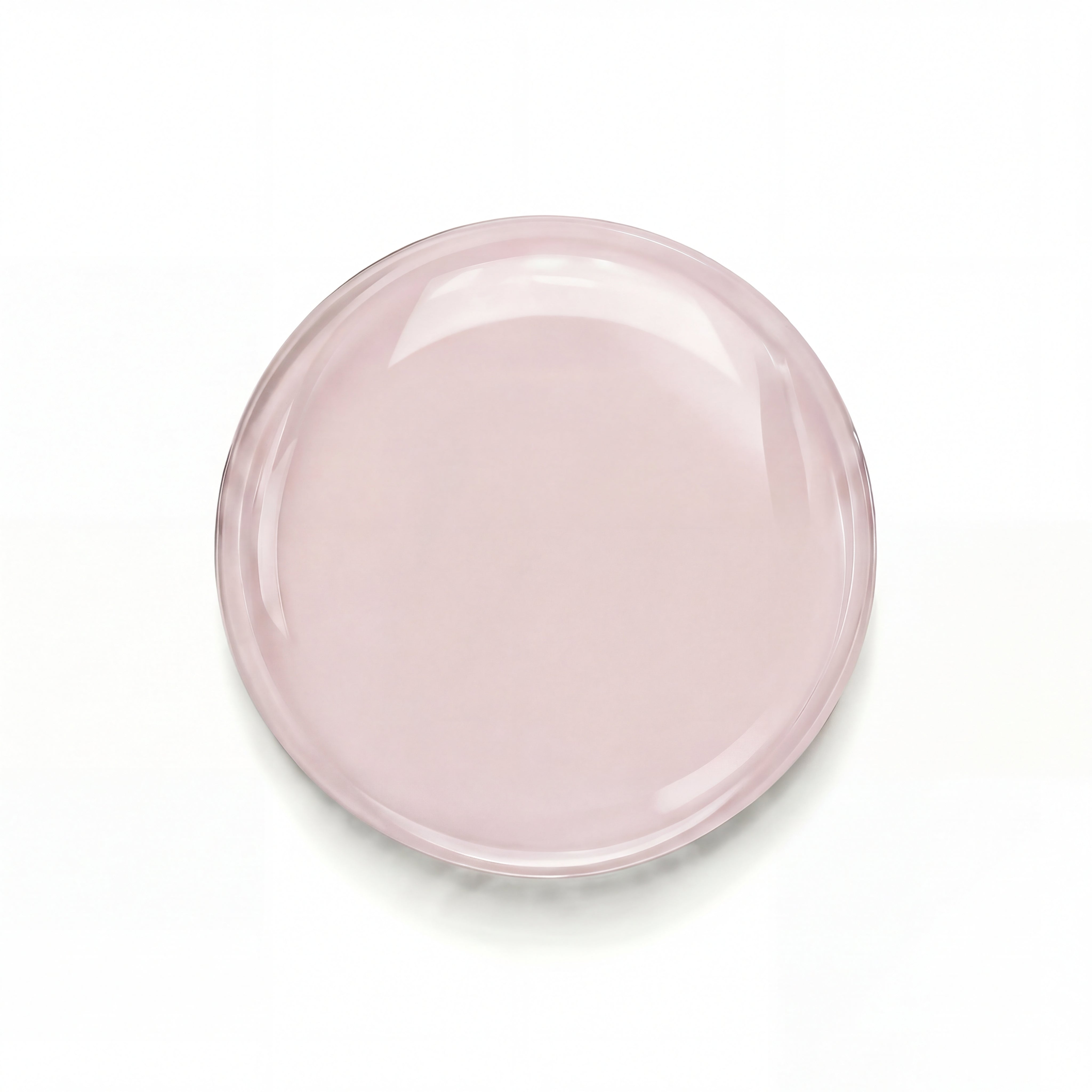 B004 Rosa de los Vientos