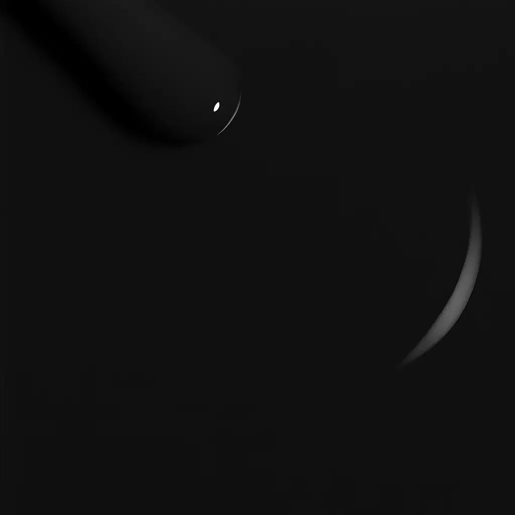 001 black - Elegelli